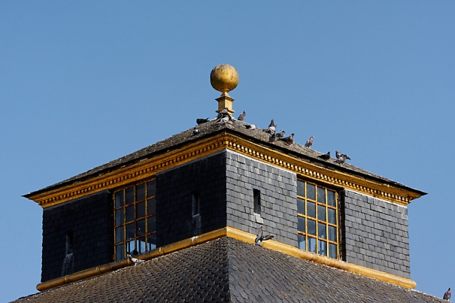 Chateau du Champ de Bataille-012